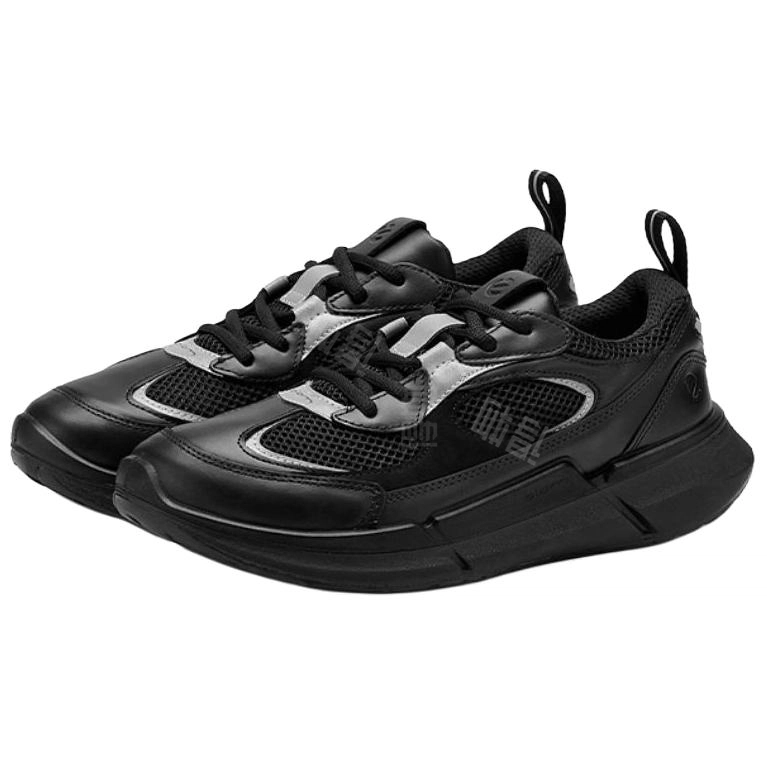 ecco 2.2