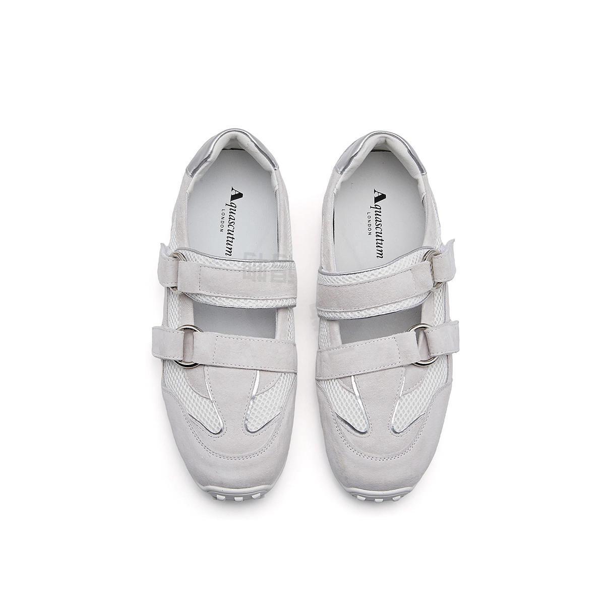 AQUASCUTUM