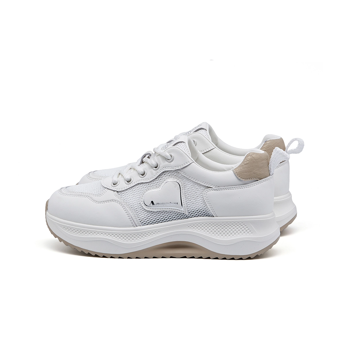 AQUASCUTUM