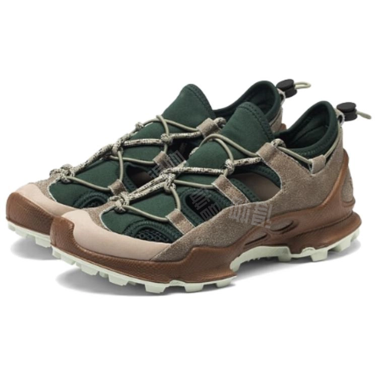 Natacha x ecco Biom C Trail