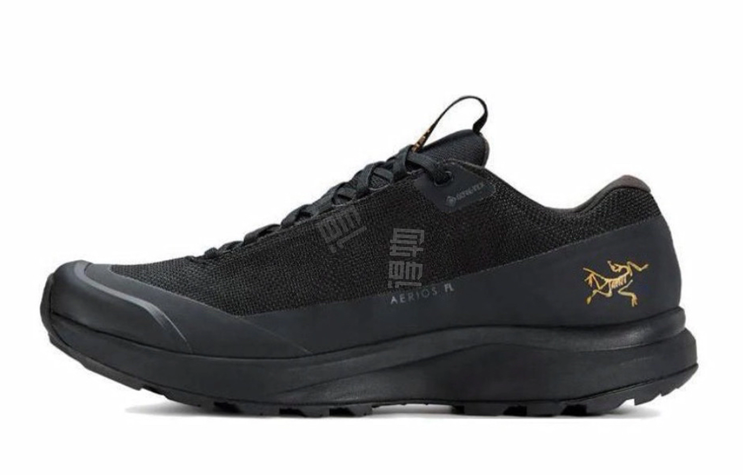Arcteryx Aerios Fl 2 GTX 811