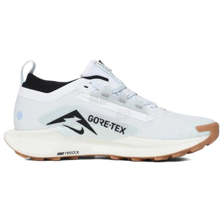 Nike Pegasus Trail 5