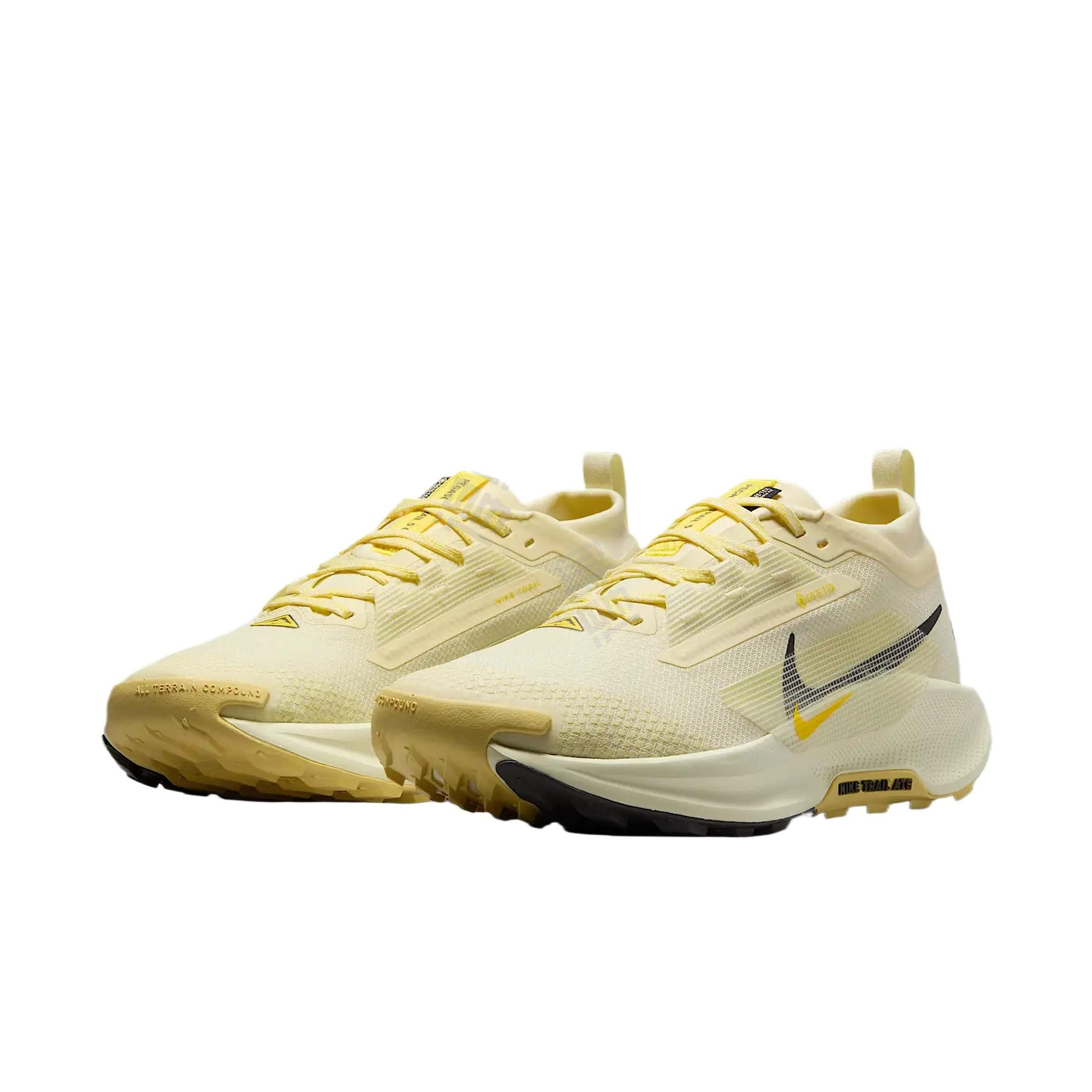 Nike Pegasus Trail 5 GORE-TEX