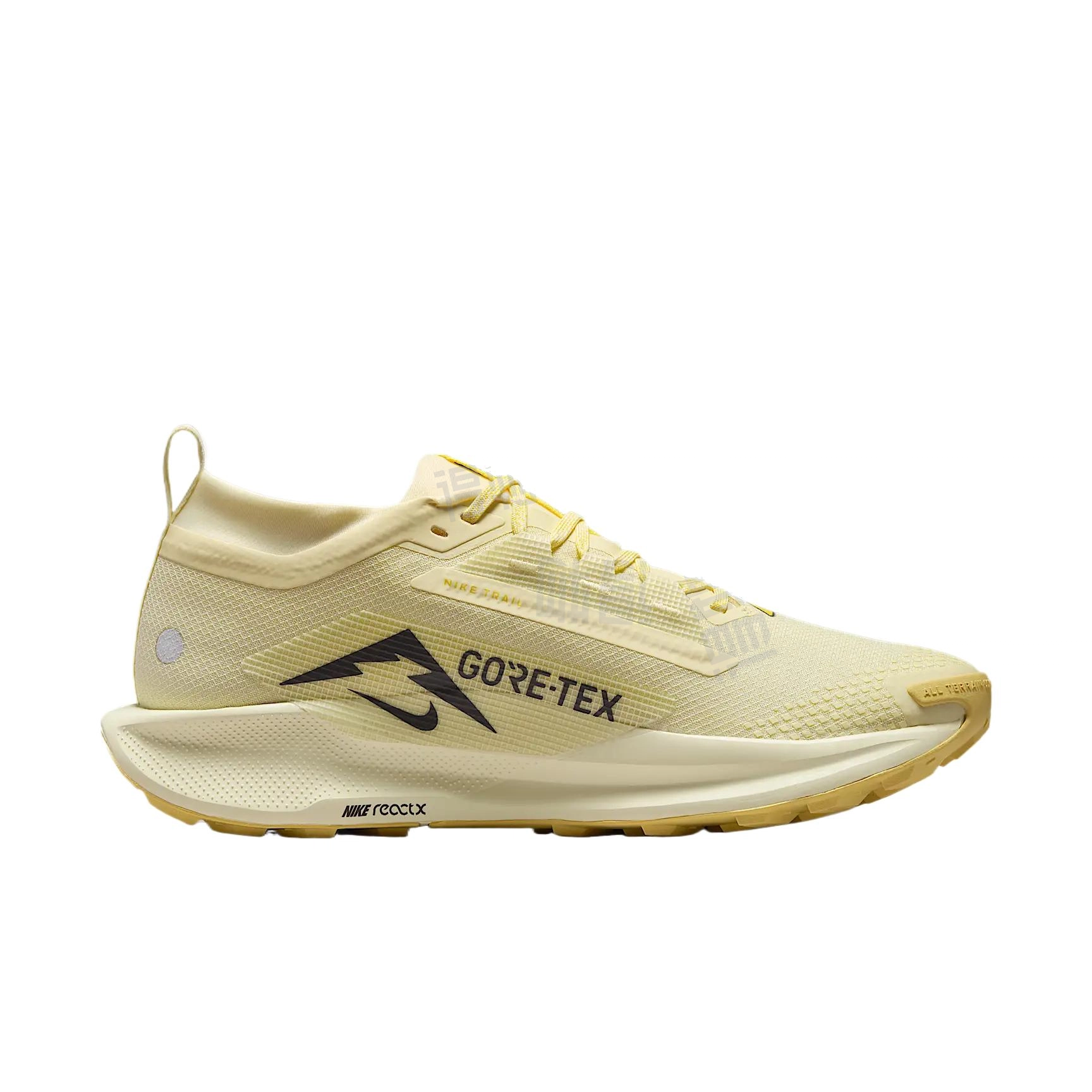 Nike Pegasus Trail 5 GORE-TEX