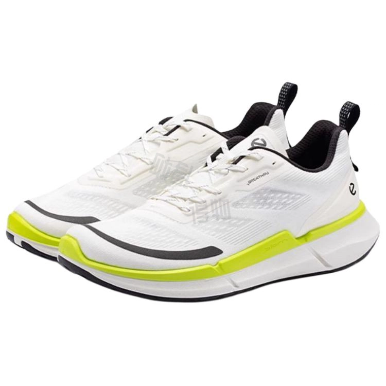 ecco Biom 2.2
