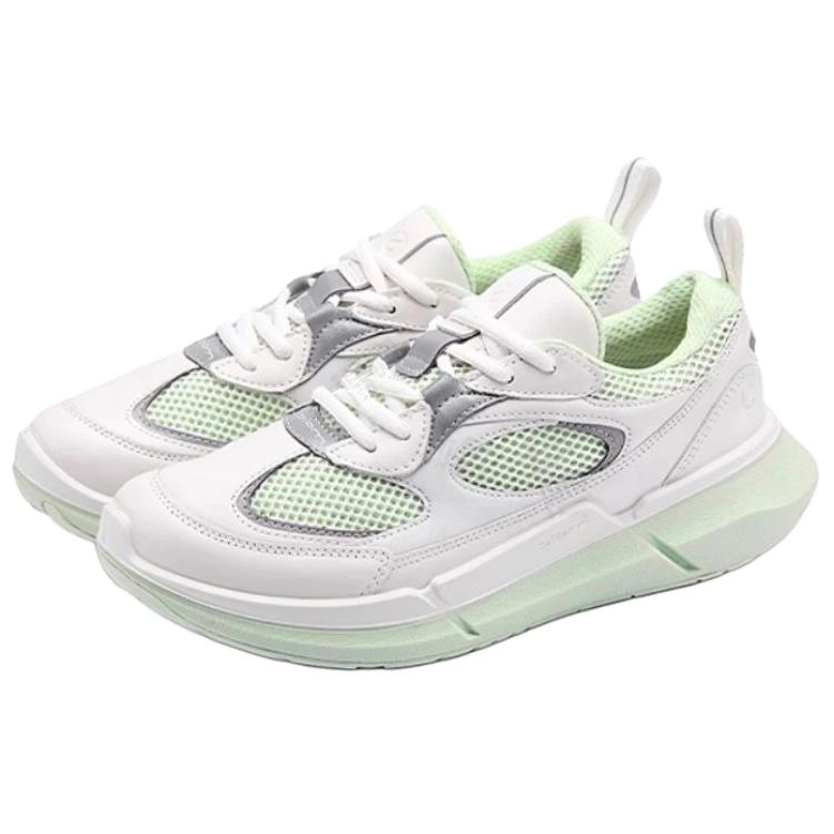 ecco BIOM2.2