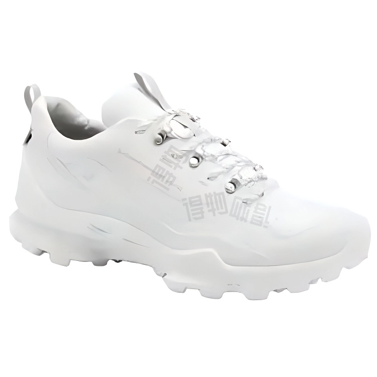 White Mountaineering ecco Biom C Trail