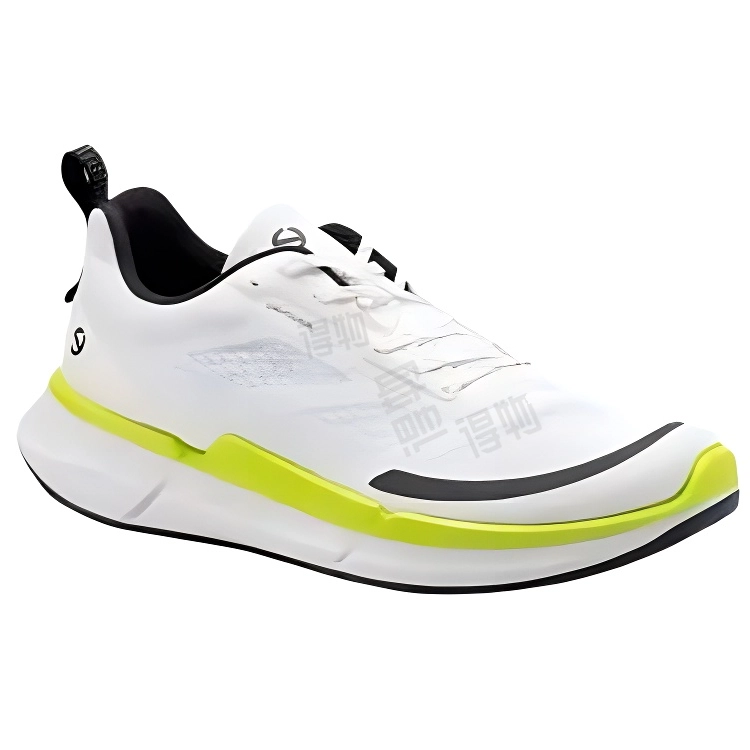 ecco Biom 2.2
