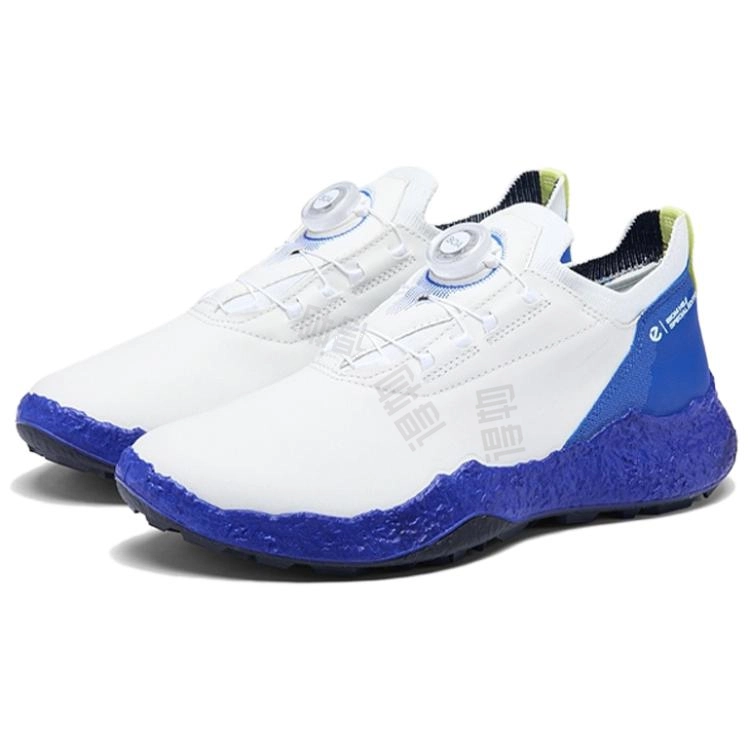 ecco BIOM H5