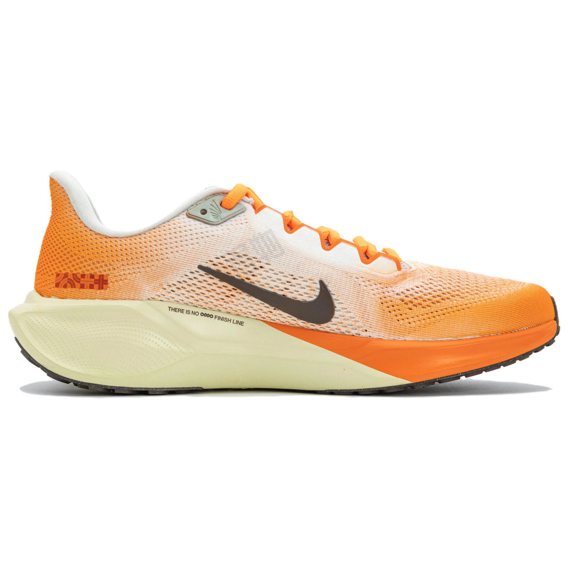 Nike Zoom Pegasus 41