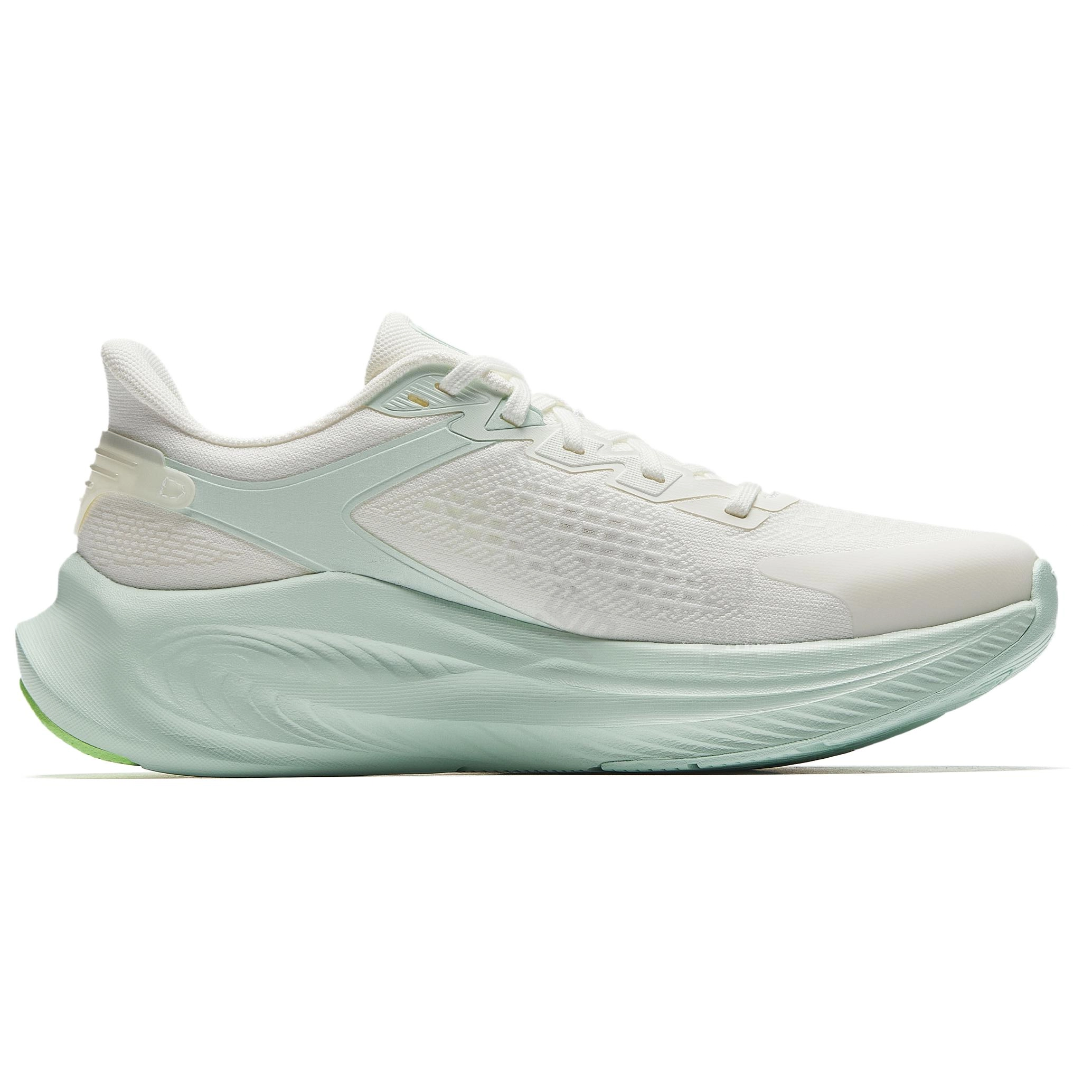 Anta 6