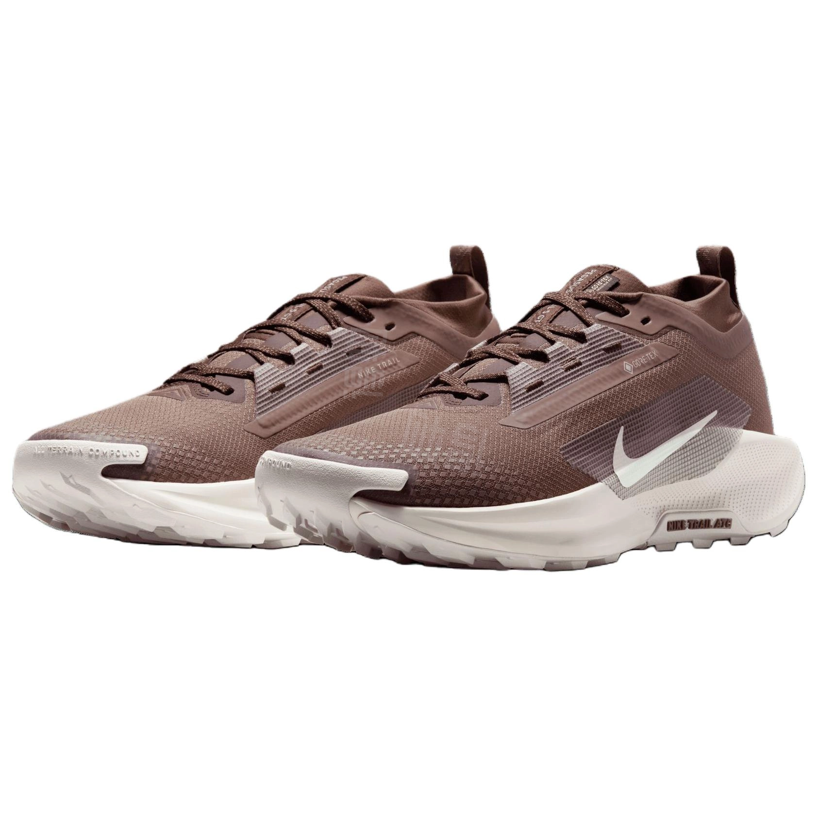 Nike Pegasus Trail 5 GORE-TEX