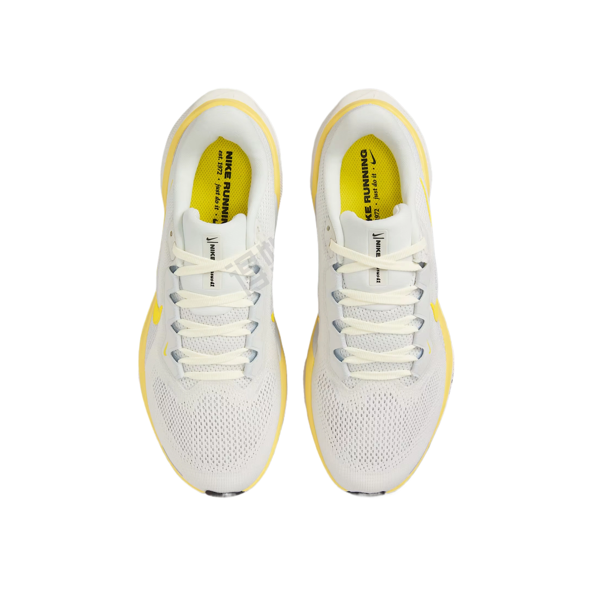 Nike Pegasus 41