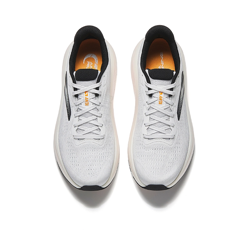 Anta 6