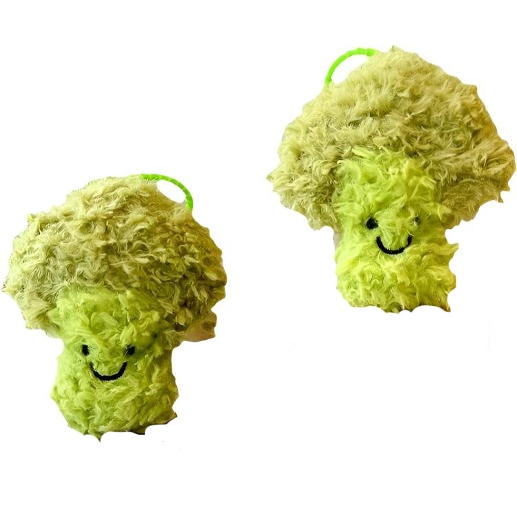 FKOFR 10cm12cm