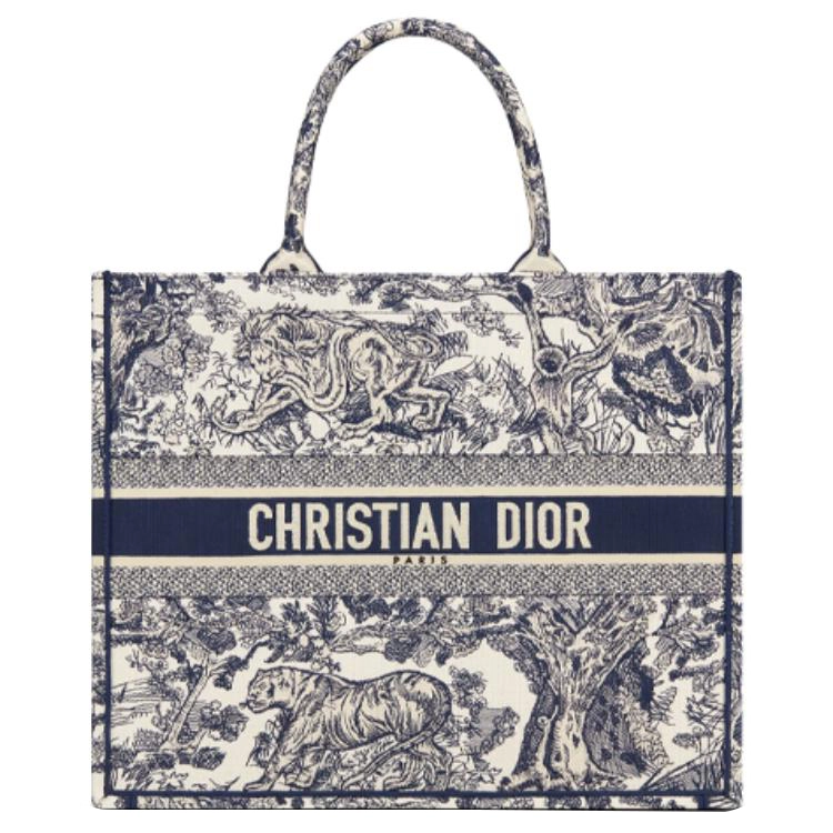 DIOR BookTote Tote
