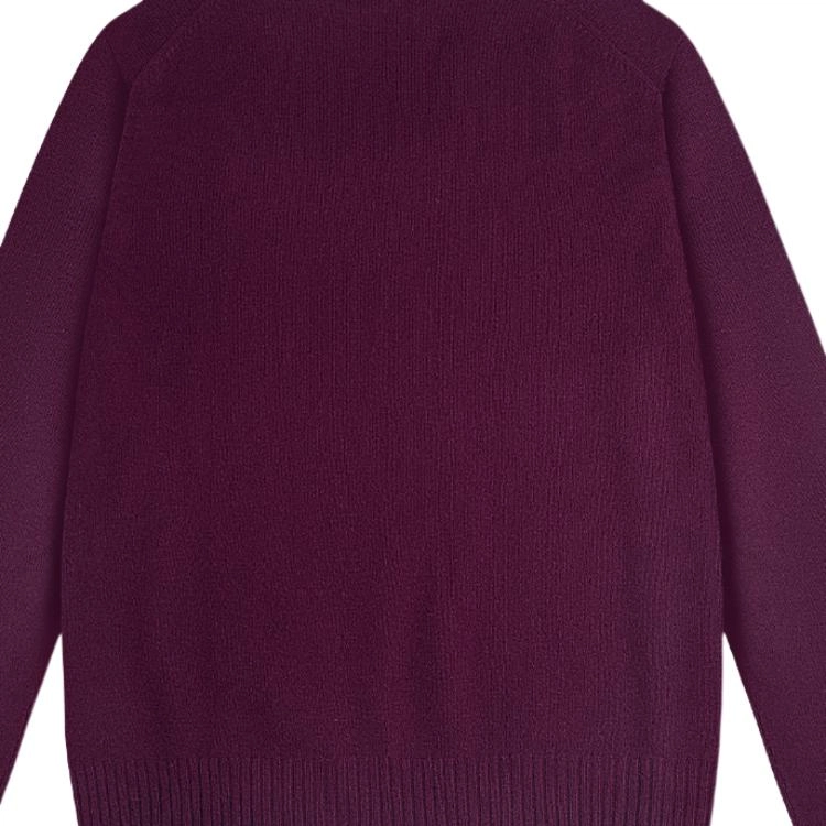 Polo Ralph Lauren FW23 LogoV