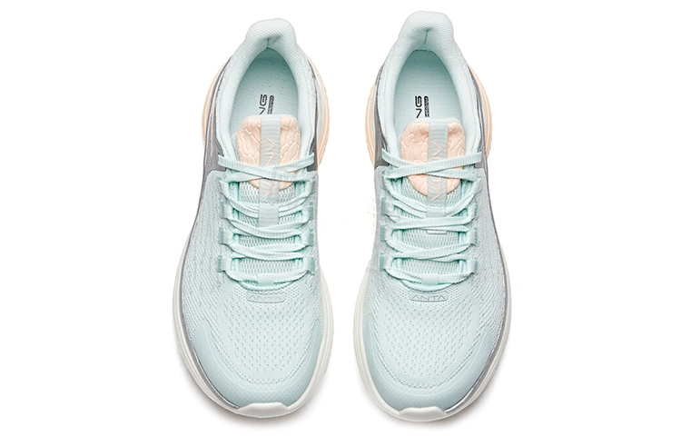Anta