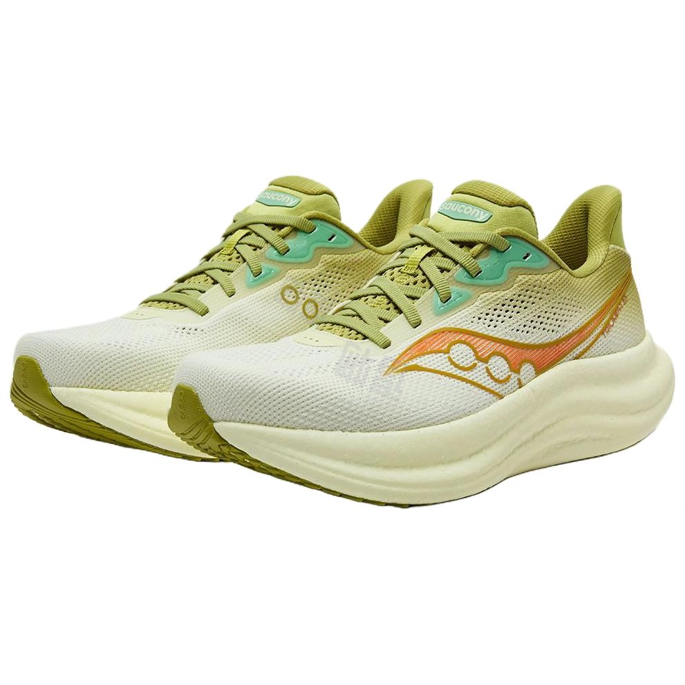 Saucony Triumph 23