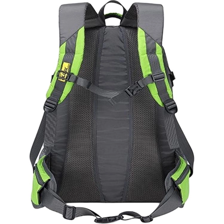 OLIDIK40L