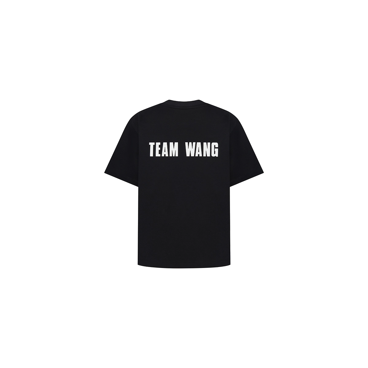 TEAM WANG design THE ORIGINAL 1T