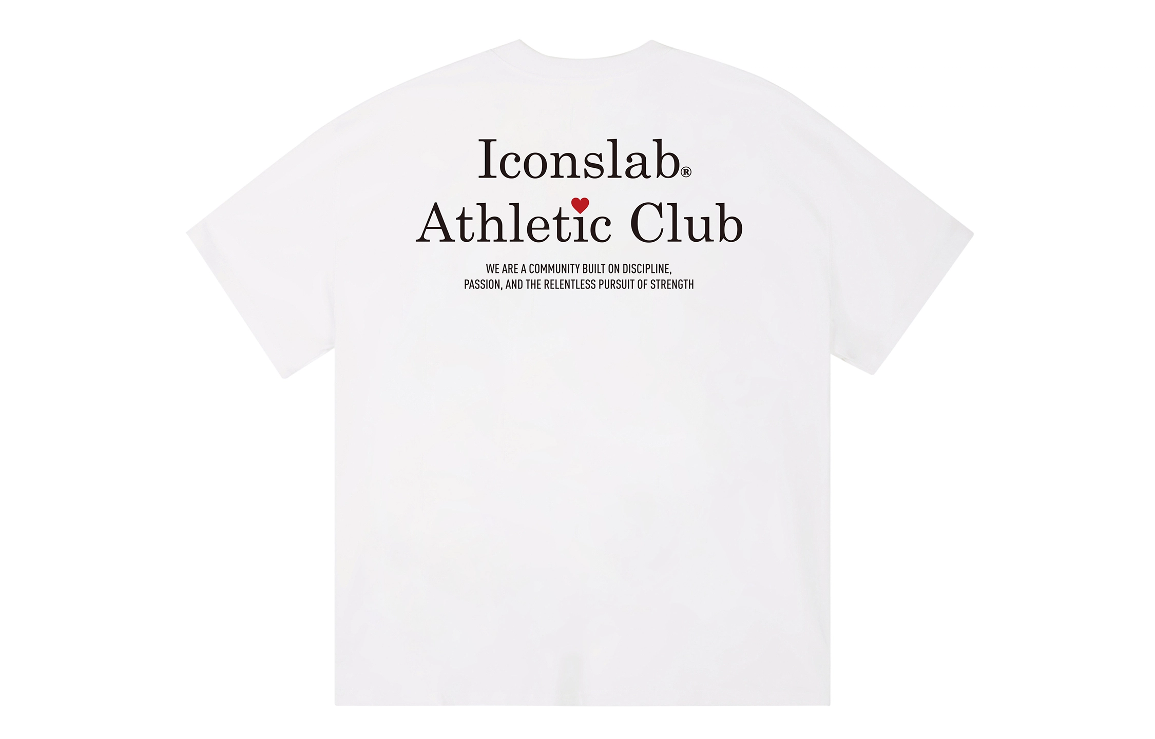 ICONS Lab ICS T