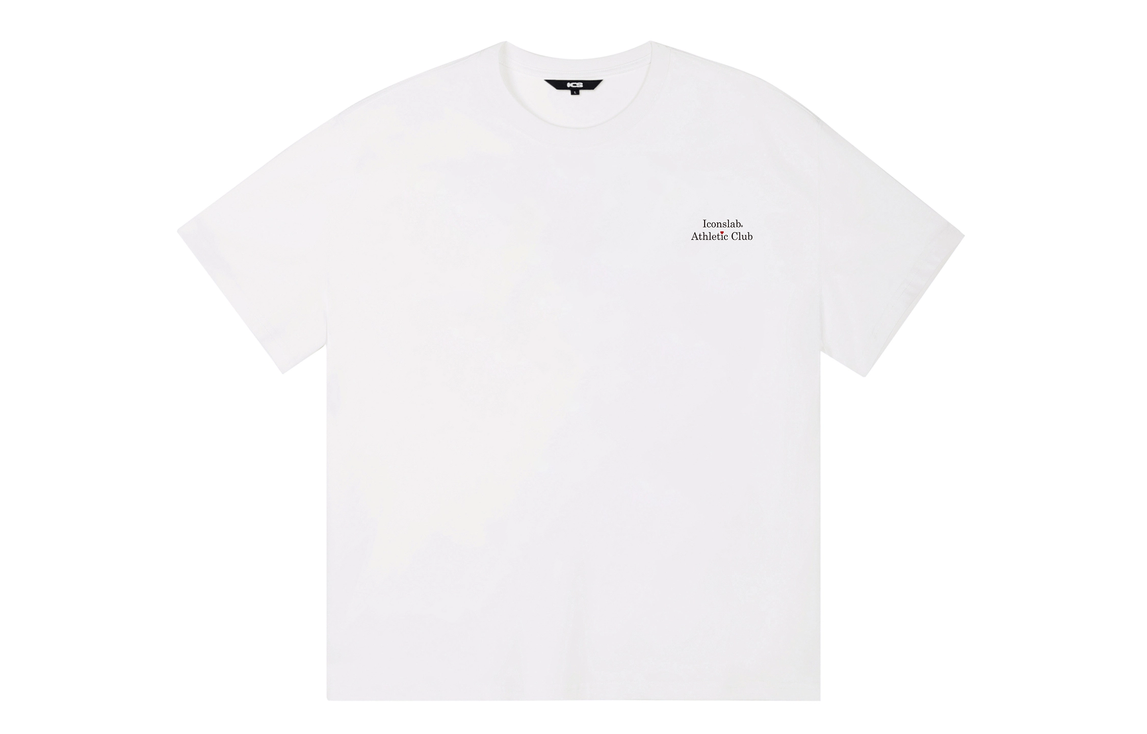 ICONS Lab ICS T