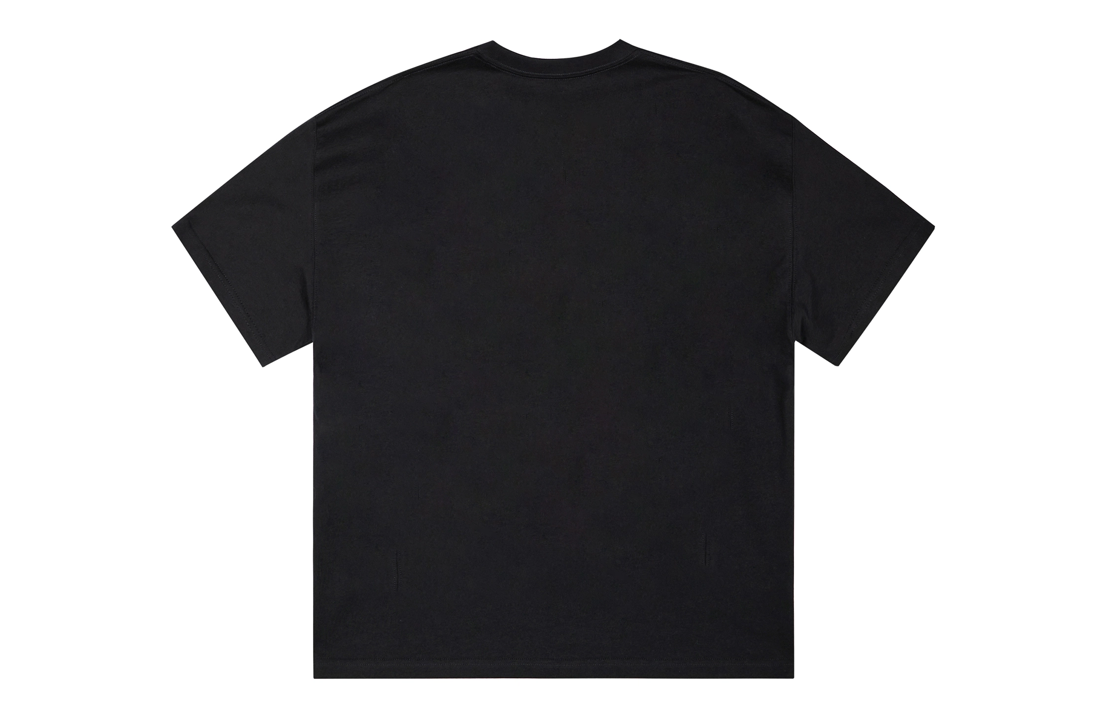 ICONS Lab ICS T