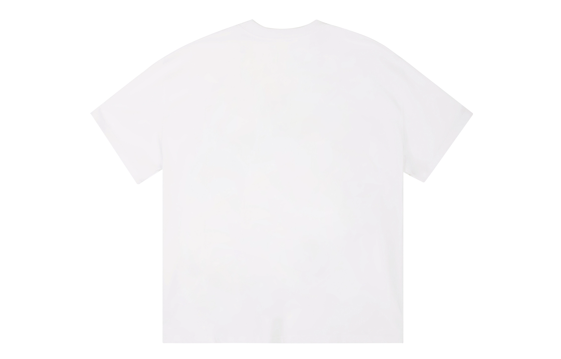 ICONS Lab ICS T