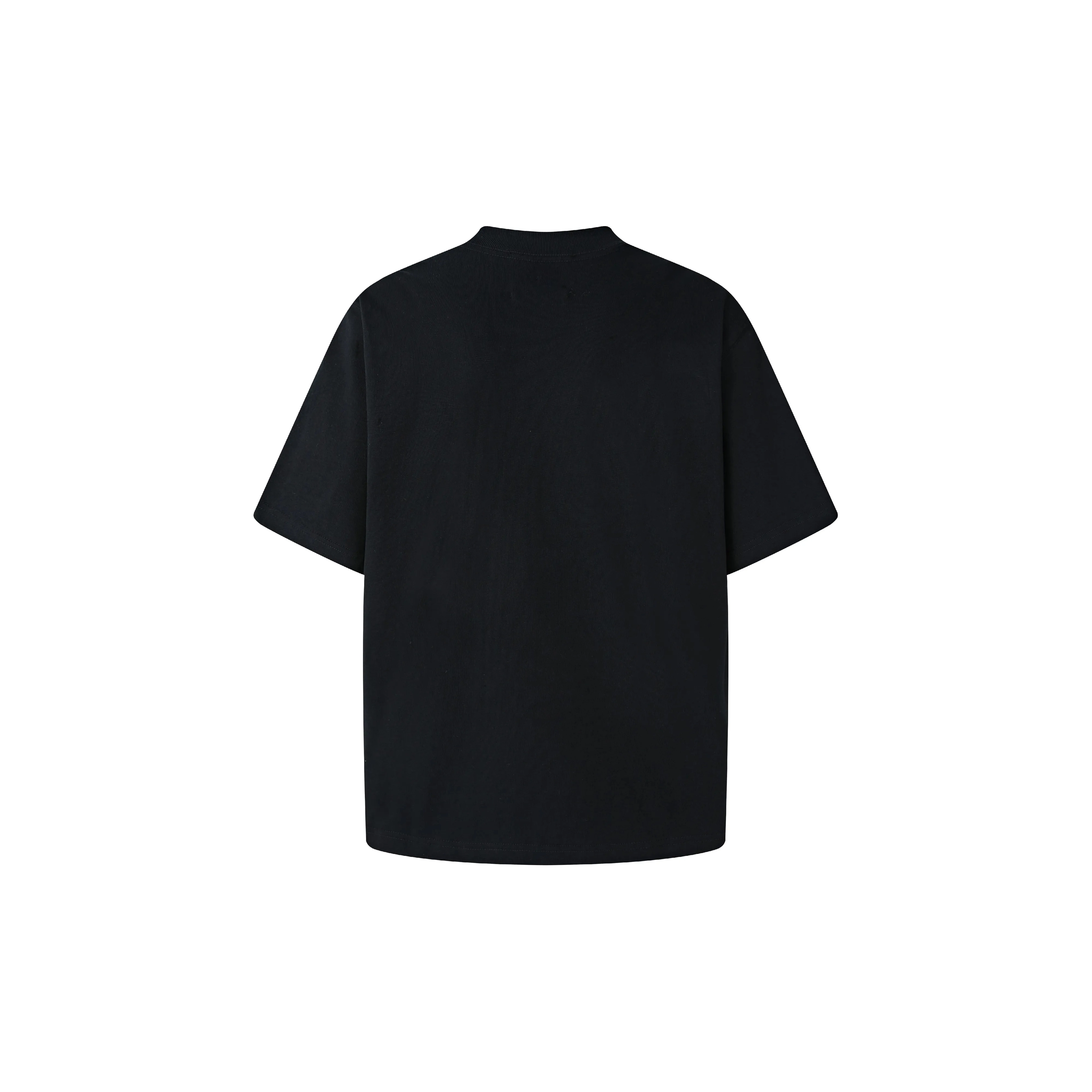 WRSTBHVR PIONEER T