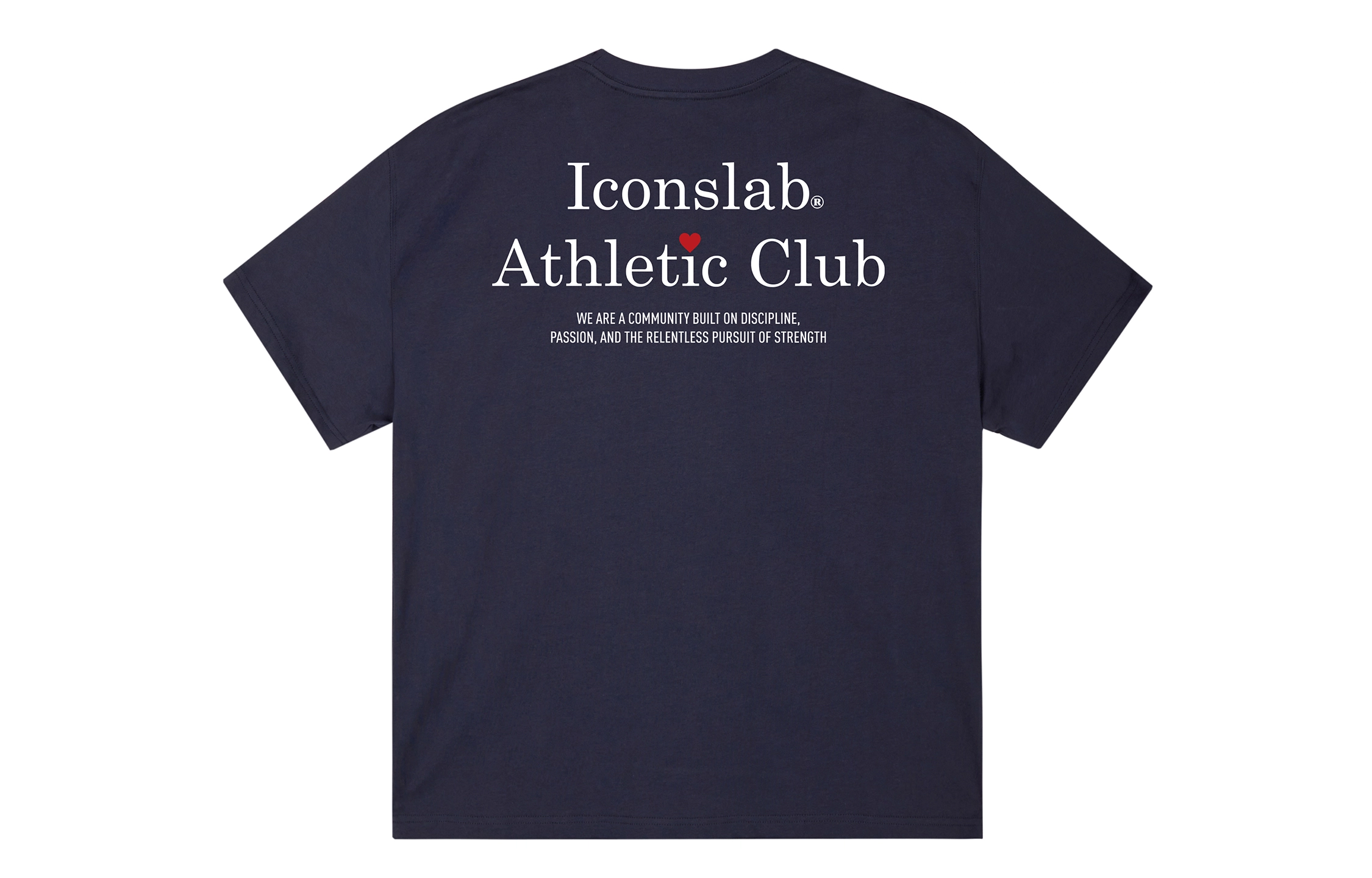 ICONS Lab ICS T