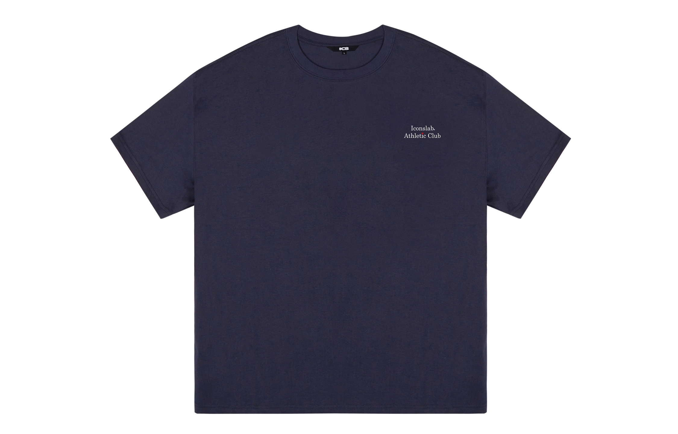 ICONS Lab ICS T