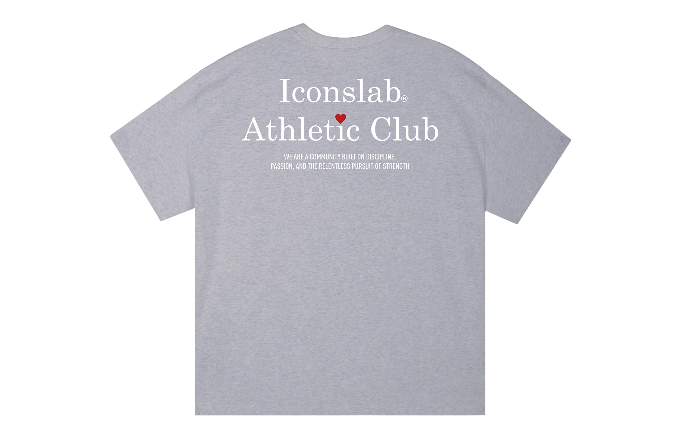 ICONS Lab ICS T