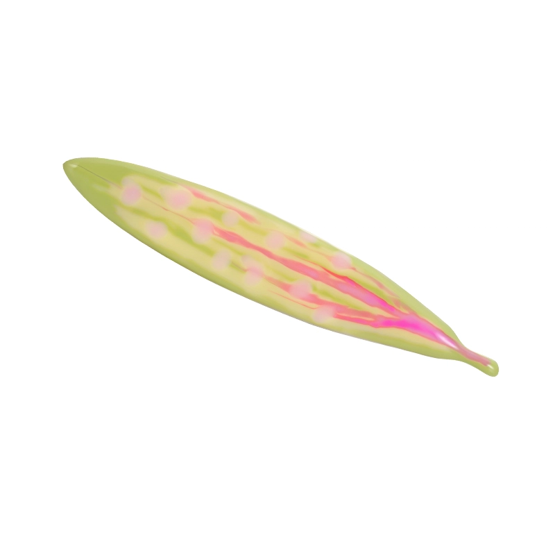 YVMIN