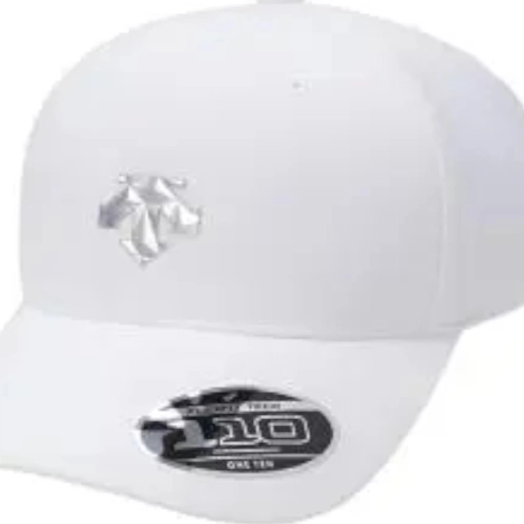 DESCENTE logo -