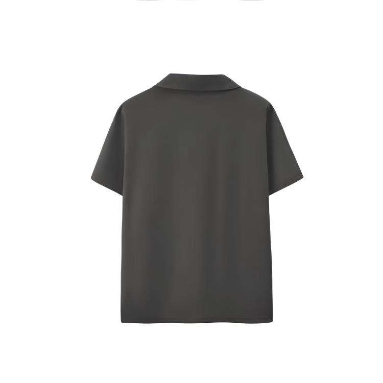 RVVR TPolo