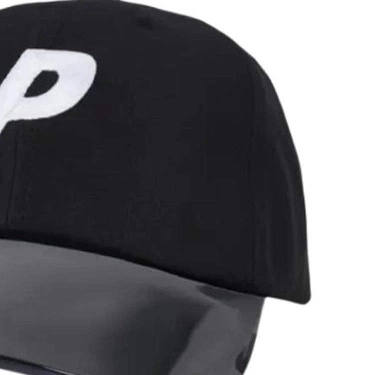 PALACE -