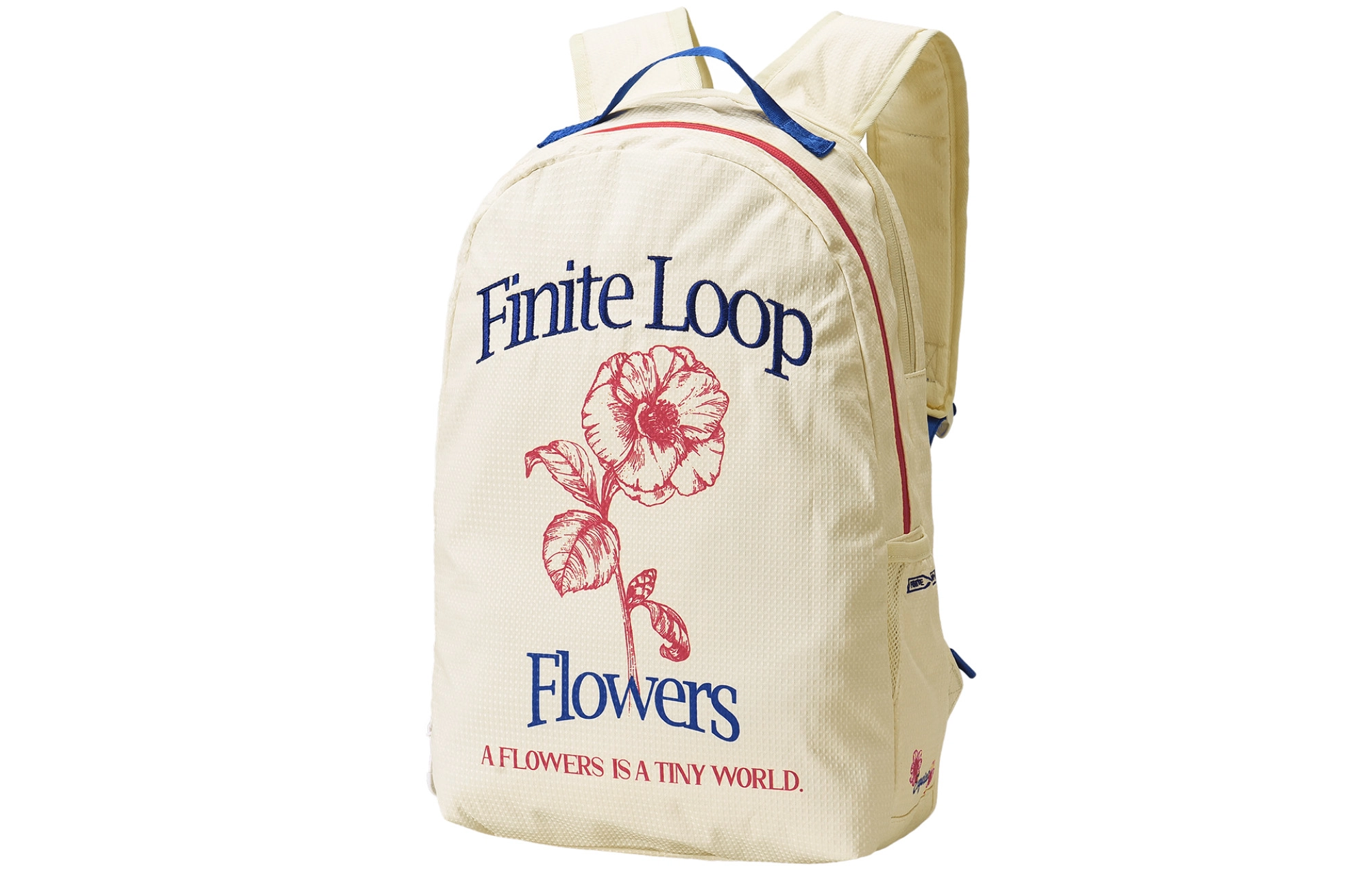 FINITE LOOP
