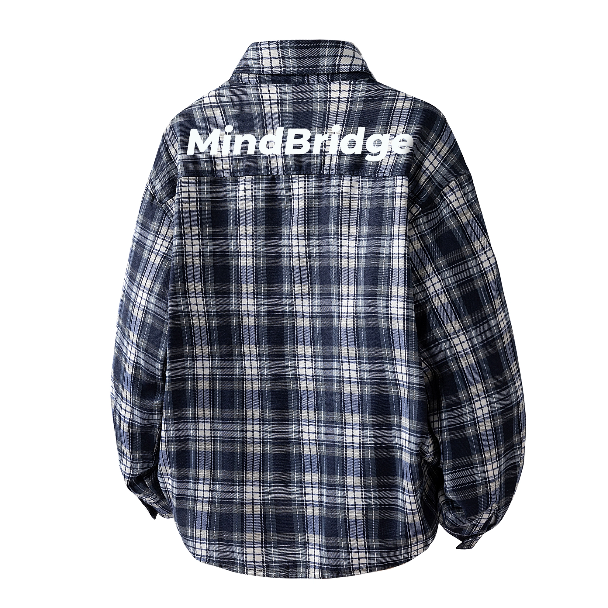 MindBridge