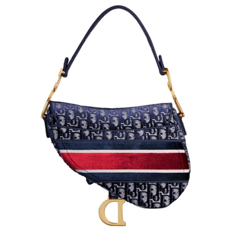 DIOR Saddle Oblique
