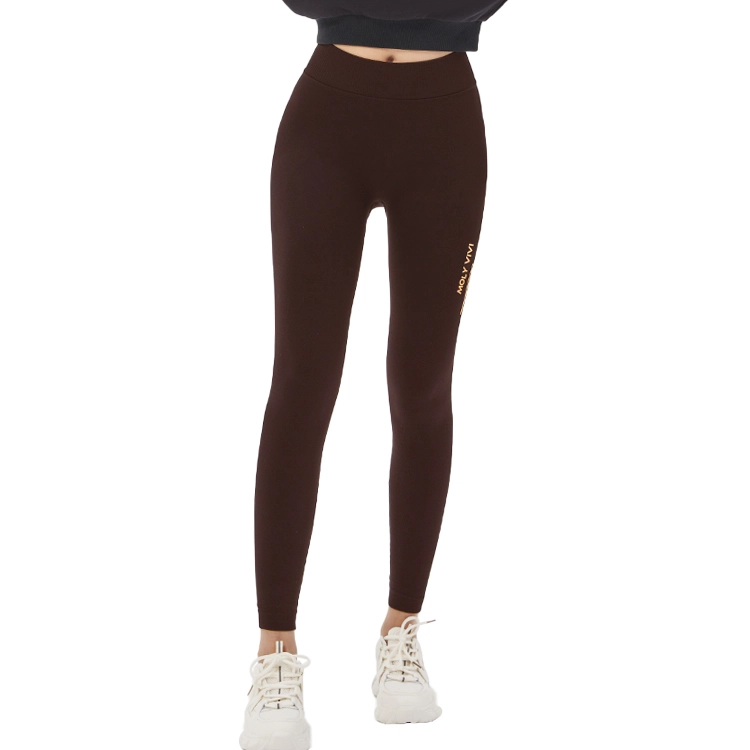 MOLY VIVI 2024