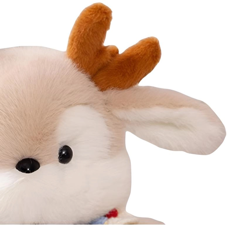 FKOFR 30cm40cm