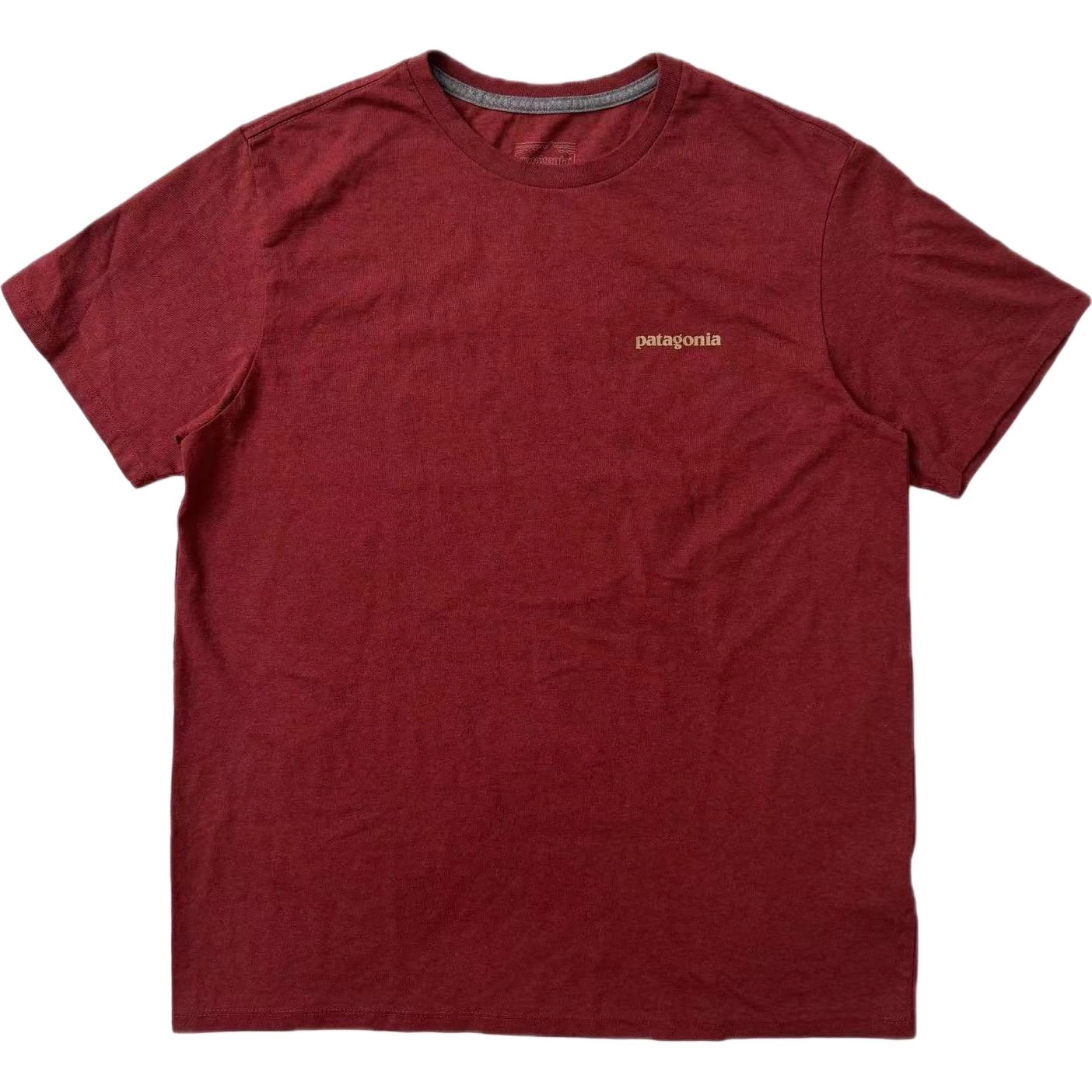 patagonia LogoT