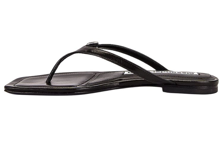 alexander wang Ivy