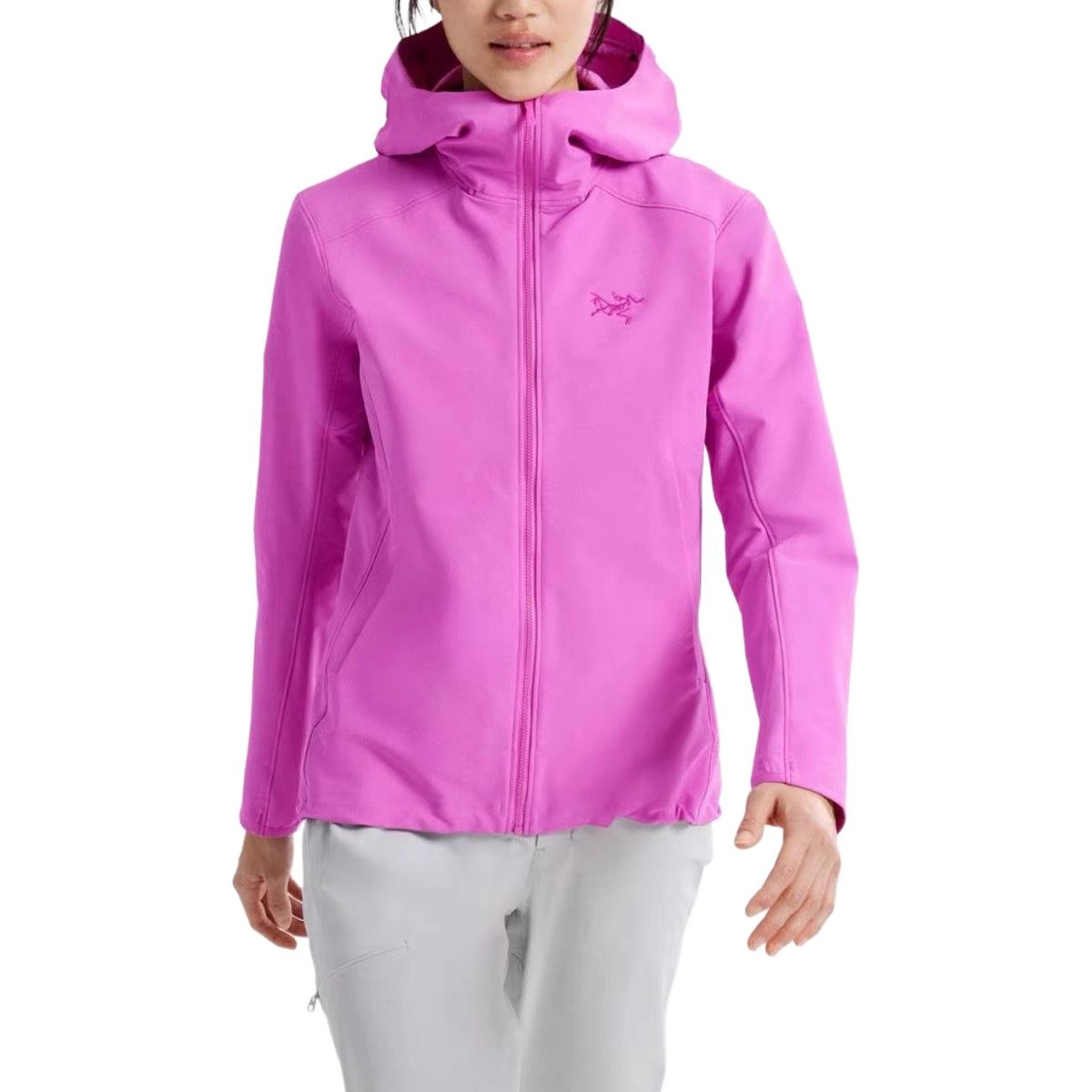 Arcteryx GAMMA gamma hoody