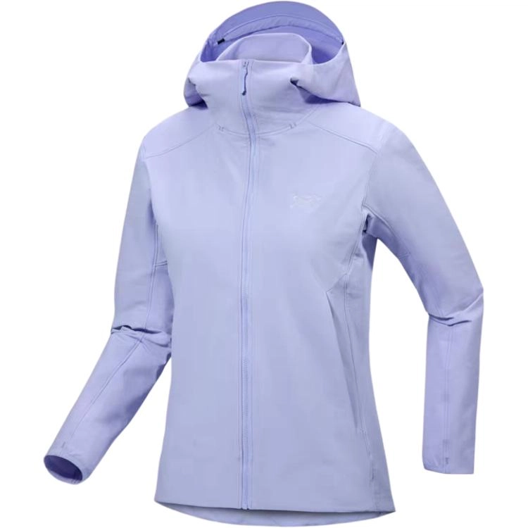 Arcteryx GAMMA gamma hoody