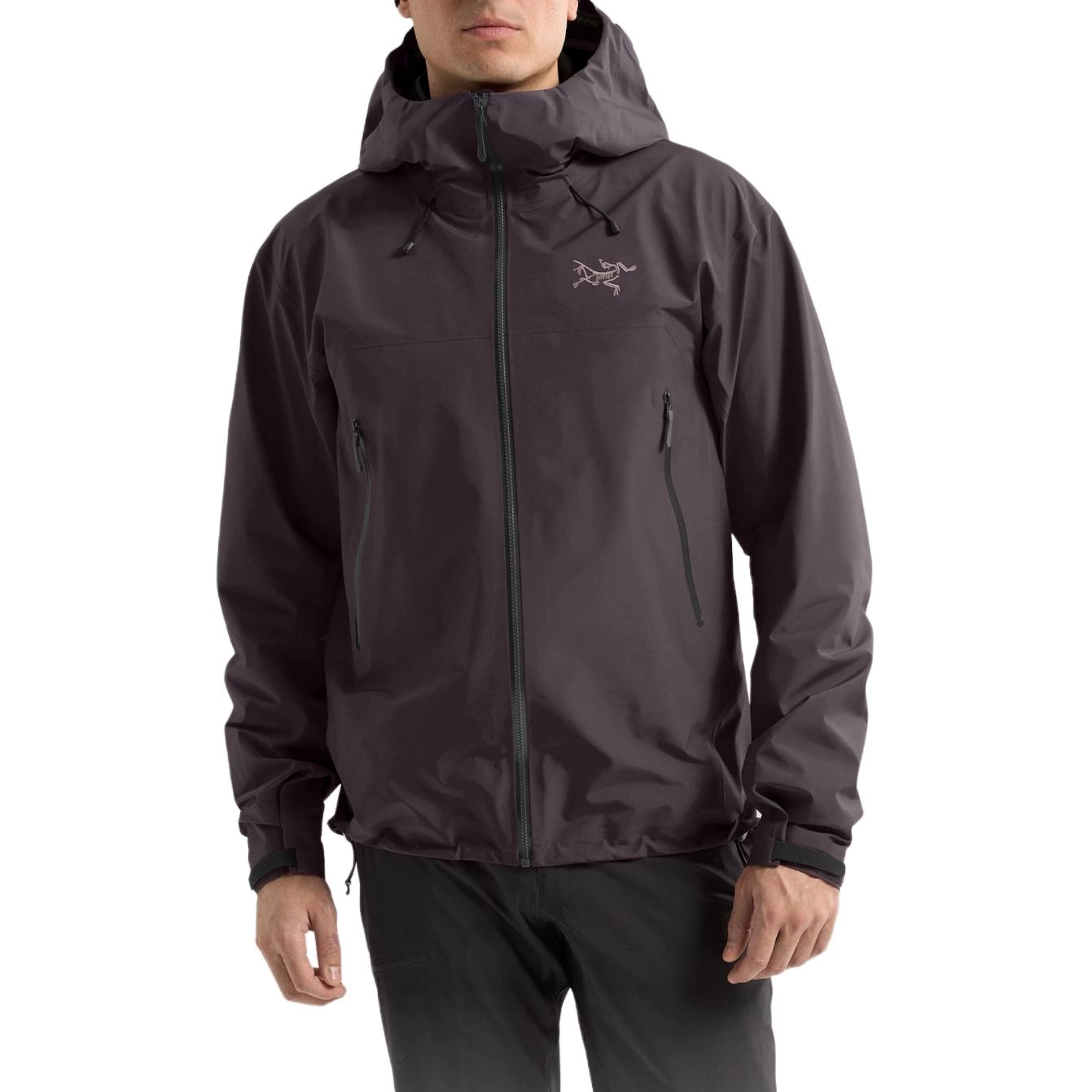 Arcteryx beta lightweight gore-tex Beta Logo