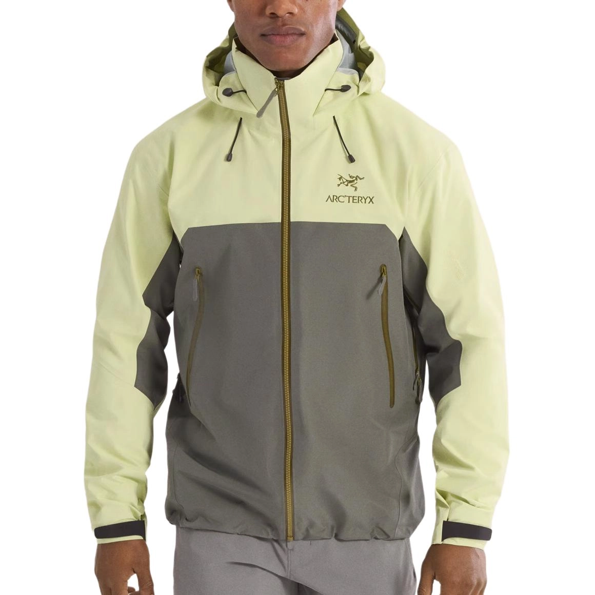 Arcteryx BETA AR GORE-TEX PRO Logo