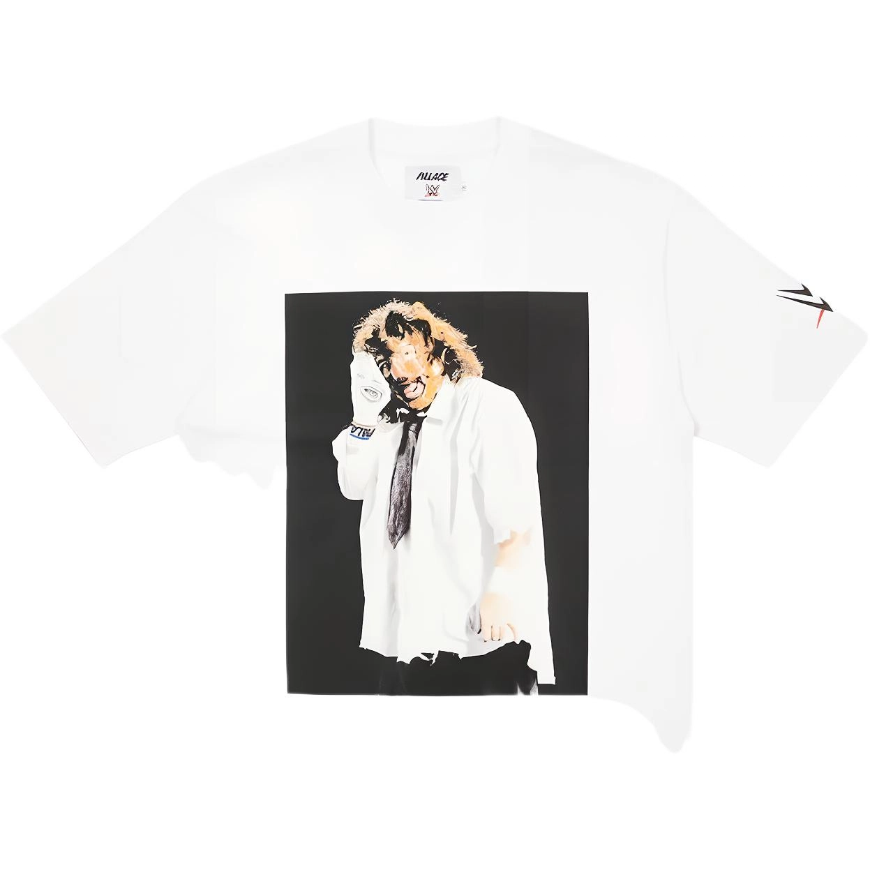 PALACE x WWE SS23 T