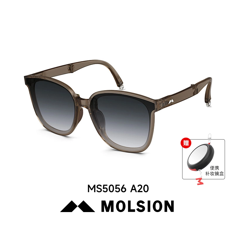 MOLSION